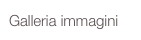 Galleria immagini
